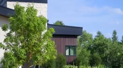 Cascading into Nature Photo